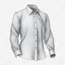 Shirts (Formal, Casual)